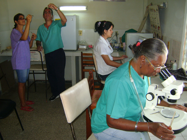 Enfrentamiento al Aedes aegypti 