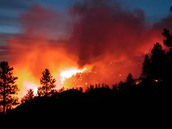 Incendios forestales en Chile