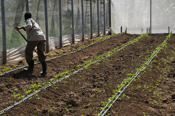 Agricultura 