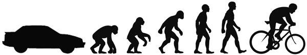 Evolución