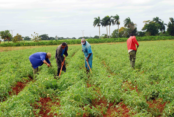 Productos agrícolas