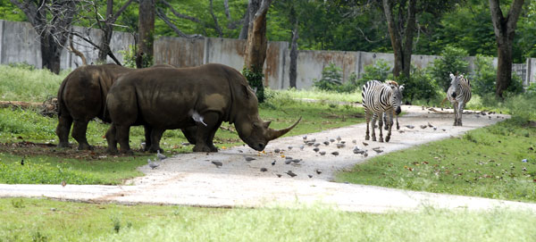 Parque Zoológico Nacional