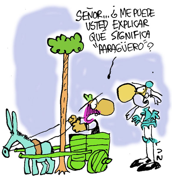 Don quijote