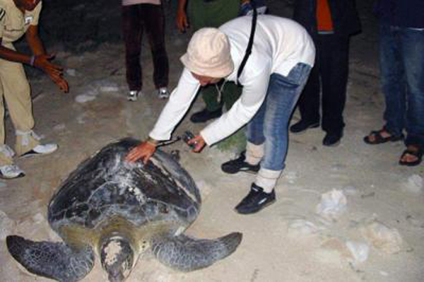 Monitoreo de tortugas marinas