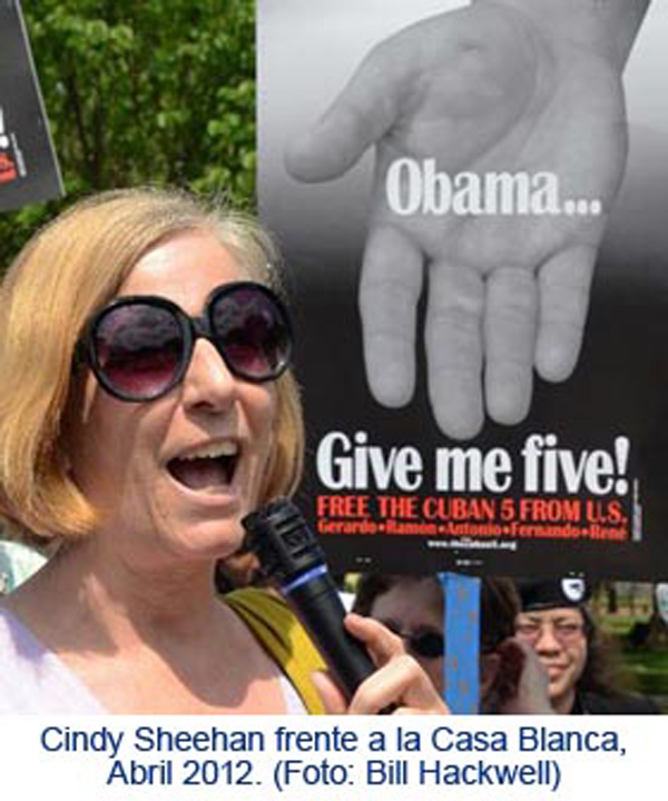 Cindy Sheehan