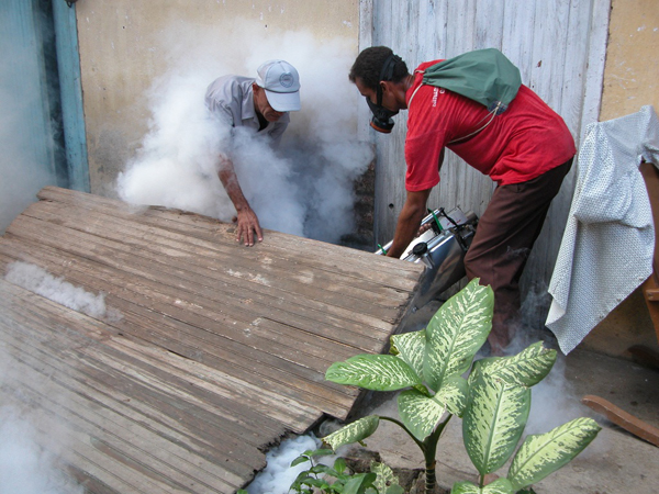 Eliminar los focos del mosquito Aedes aegypti