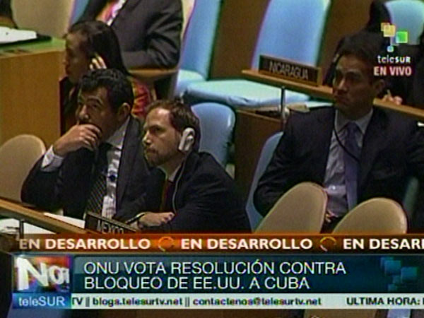 Asamblea General de la ONU