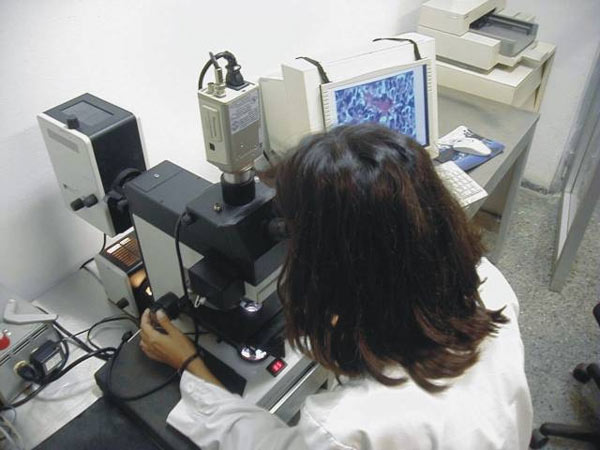 Industria biotecnológica