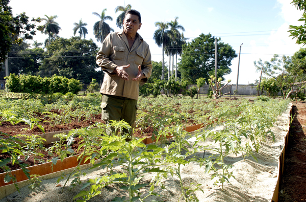 Unidades Básicas de Producción Cooperativas 