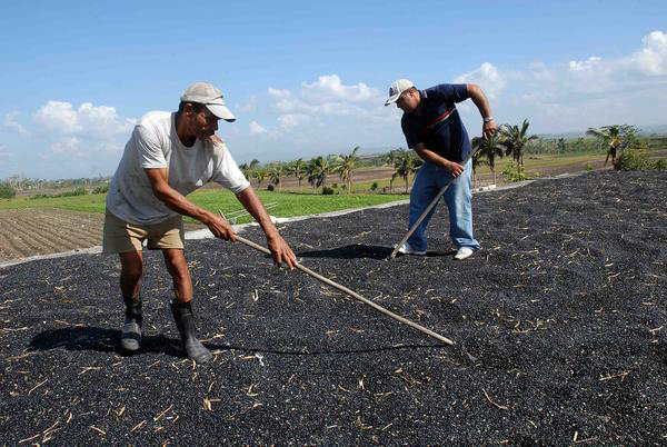 Agricultura