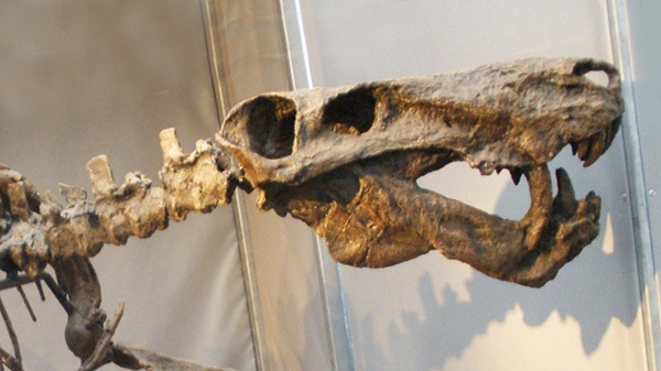 Dinosaurio desconocido en Rusia