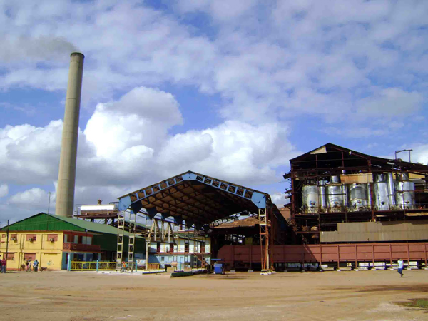 Industria azucarera