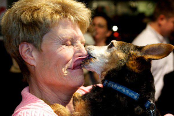 Besos perrunos