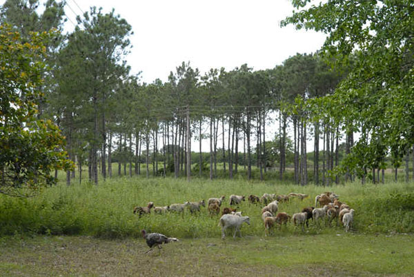 Parque Nacional Guanahacabibes