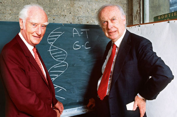 James Watson y Francis Crick