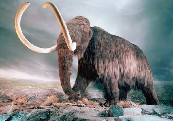 Mamut