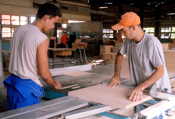 Trabajadores