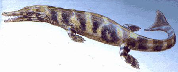 Cocodrilo marino