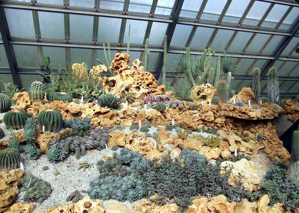 Jardín Botánico Nacional