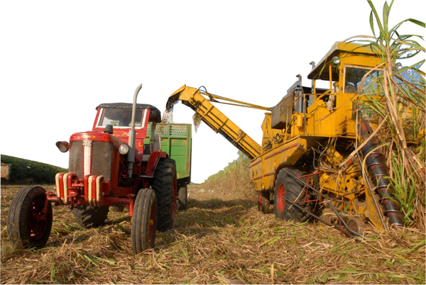 Agroindustria azucarera