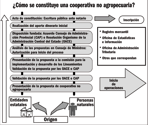 Cooperativa no agropecuaria