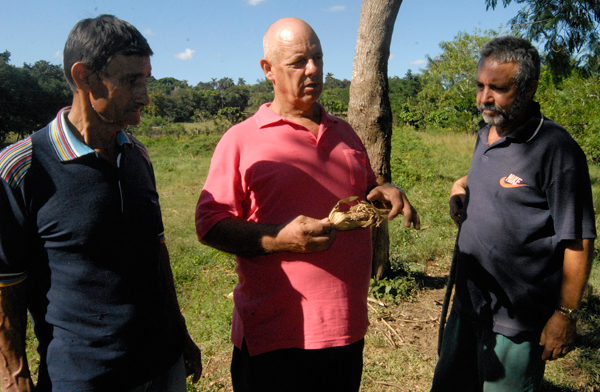 Campesinos de la zona