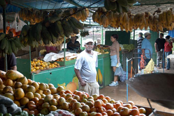 Nuevas formas de comercialización agrícola