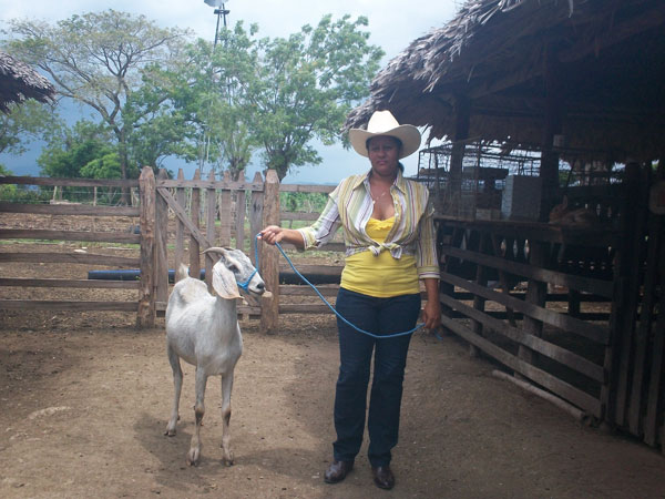 Mariela entrena uno de sus ejemplares caprinos