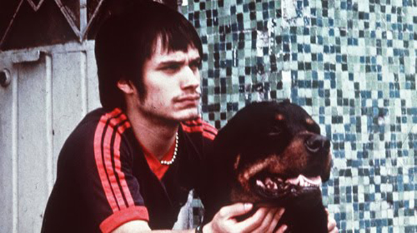 Amores perros