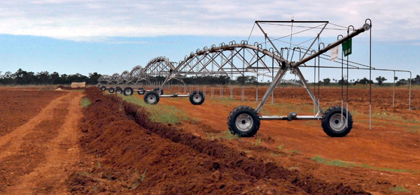 Áreas cultivables 