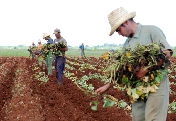 Jóvenes trabajadores 