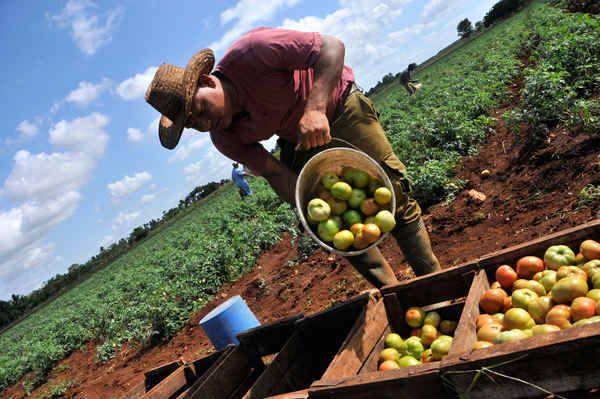 Comercialización de productos