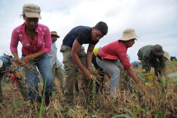 Jóvenes en la agricultura