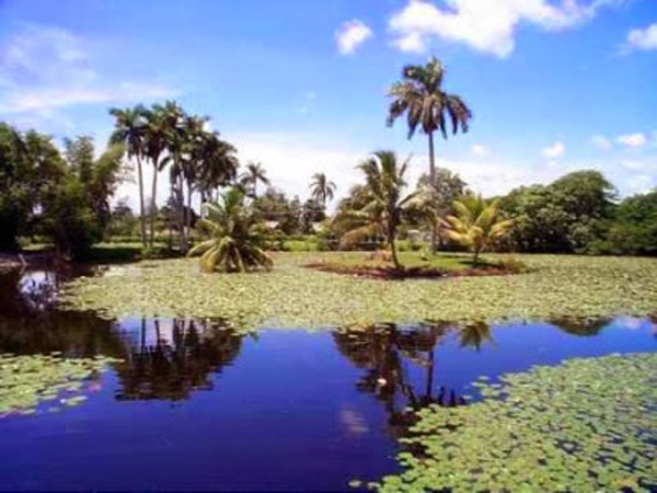 Cuba conserva sus ecosistemas