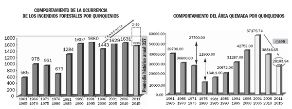 Comportamiento