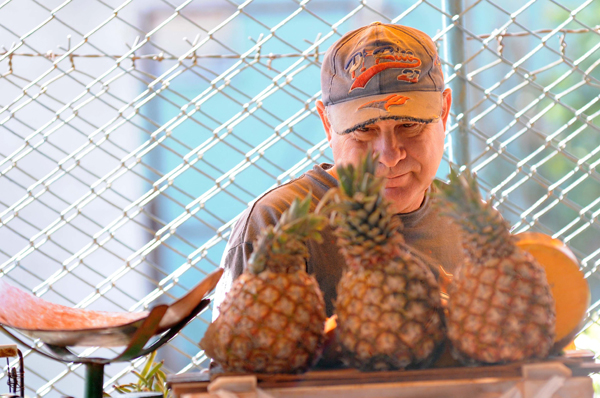 Mercados agropecuarios en La Habana