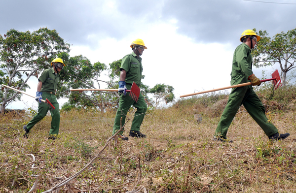 Técnico forestal