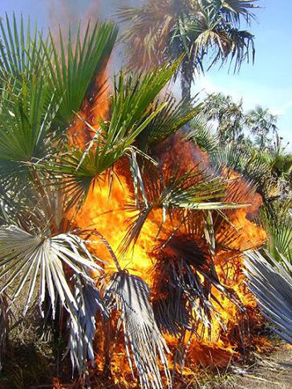 Incendio en Camagüey