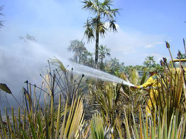 Incendio forestal en Tres Puertas