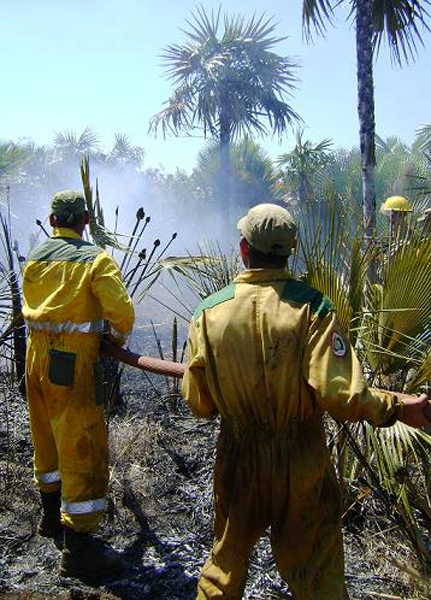 Incendio en San Felipe