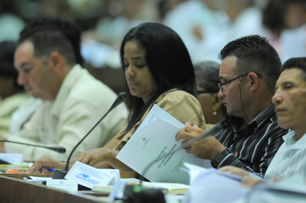 Qué dice la nueva ley