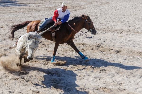 Campeonato Nacional e Internacional de Rodeo en Fiagrop 2014