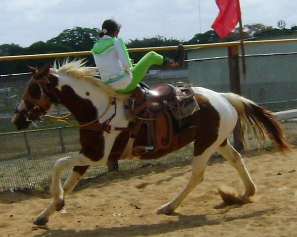 Una campiña por el cuatro de abril