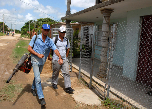 Control del dengue