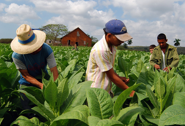 Fuerza juvenil agropecuaria