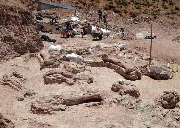 Restos de dinosaurio descubierto en Argentina