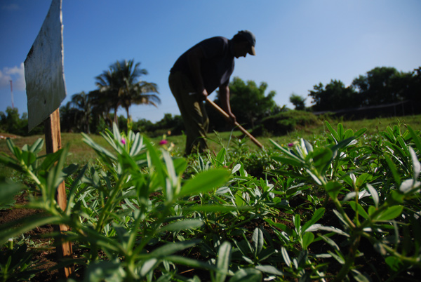 Producción