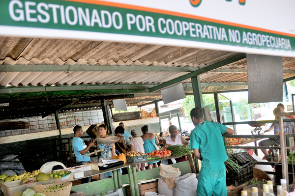 Cooperativas no agropecuarias