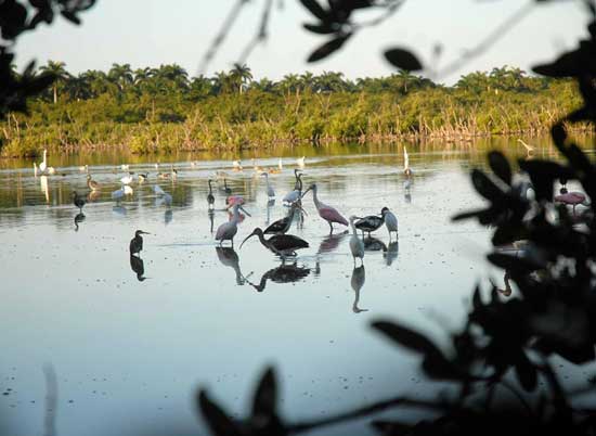 Parque Nacional Caguanes