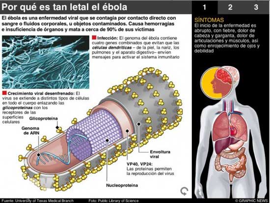Gráfica del Ébola